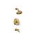 TUB/SHWR FCT FACILE GLD