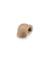 90D ELBOW 3/4FPT RDBRS
