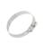 Psgld Hose Clamp Band Sae 36 Ss