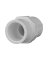 Charlotte Pipe Schedule 40 1/2 in. Slip  T X 1/2 in. D FPT  PVC Pipe Adapter