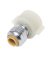 SharkBite Push to Connect 1/4 in. Push  T X 1/2 in. D FPT  Brass Faucet Connector