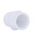 Charlotte Pipe Schedule 40 1 in. MPT  T X 3/4 in. D Slip  PVC Pipe Adapter