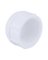 Charlotte Pipe Schedule 40 1 in. FPT  T X 1 in. D FPT  PVC Cap