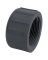 1" PVC Sch80 FPT Cap