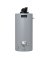 WTR HTR NG 40GL PWR VENT