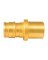 PEXA MADPT1/2X1/2 SW 10P