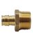 PEXA ADPTR 1/2X 3/4"MPT