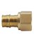 PEXA ADPTR 3/4"PEX/FWS