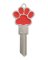 3D-68-SCI-PAW PRINT