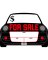 Sign Fr Sale Auto 10x14"