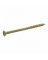 SCREW STR TAN 10X3.5" 1#