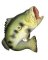 HOUSE CHARM LRG BASS
