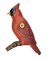 HOUSE CHARM CARDINAL