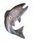 HOUSE CHARM TROUT