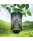 HANGING INSECT TRAP BLK