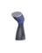 GARMENT STEAMER BLUE