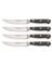 KNIFE SET CLSC SS 4PC