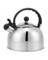 TEA KETTLE 2.5L SLVR
