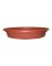 SAUCER 6" DURA COTTA TC