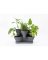 Bloem Collins 10.6 in. H X 16 in. W X 14.5 in. D Resin 2 Level Planter Charcoal