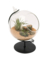 TERRARIUM W/STAND 4.5"D