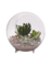 TERRARIUM W/FEET 10.25"D