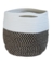 PLANTR BLOEMBG B/W 10"D