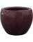 3" STORMY PURPLE BRAEBURN POT