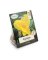 NS CANA KNG CTY GLD BULB