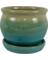 PLANTR ARCHDL MOSS 6"