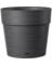 NS PLNTR RND BLK 14.96"
