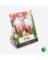Ns Bulb Tlp Crnvl De Rio