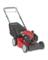 LAWN MOWER GAS STL 21"