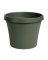 Bloem Terrapot 5.5 in. H X 6 in. D Resin Traditional Planter Thyme Green