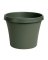 Bloem Terrapot 7 in. H X 8 in. D Resin Traditional Planter Thyme Green