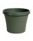 Bloem Terrapot 9 in. H X 10 in. D Resin Traditional Planter Thyme Green