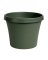 Bloem Terrapot 10.7 in. H X 12 in. D Resin Traditional Planter Thyme Green