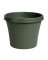 Bloem Terrapot 12.5 in. H X 14 in. D Resin Traditional Planter Thyme Green