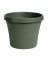 Bloem Terrapot 14.2 in. H Resin Traditional Planter Thyme Green