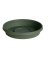 Bloem Terratray 1.7 in. H X 9.25 in. D Resin Traditional Tray Thyme Green