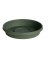 Bloem Terratray 2 in. H X 11.25 in. D Resin Traditional Tray Thyme Green