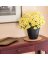 ECO CORK MAT 8inch