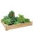 CEDAR RAISED GARDEN KIT