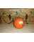 NS PIE PUMPKIN CARTON