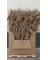 NS CORN SHOCK BUNDLE 10
