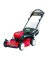 Toro Ppace Sp Mower 22"