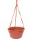 Bloem 6.8 in. H X 12.4 in. D Resin Dura Cotta Hanging Basket Terracotta Clay