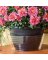POTTED PLANT LINER 10"