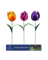 TULIP PLANTER STAKE 12"