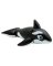 POOL FLOAT WHALE 76"